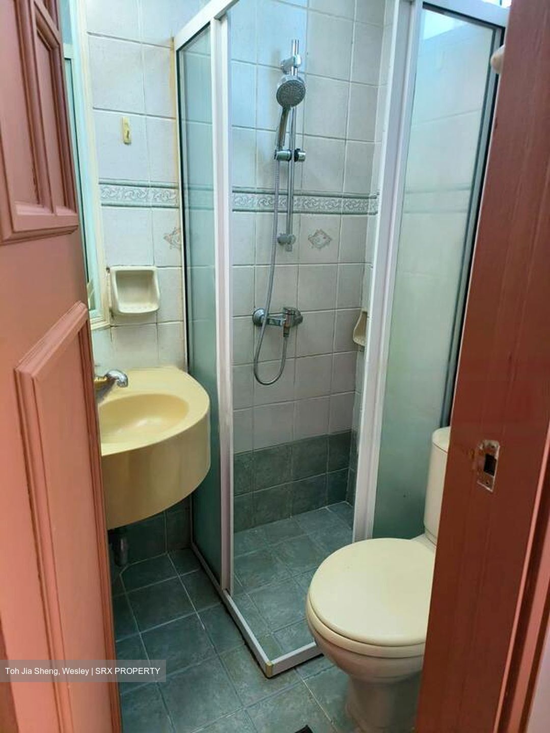 Jervois Lodge (D10), Condominium #480171481